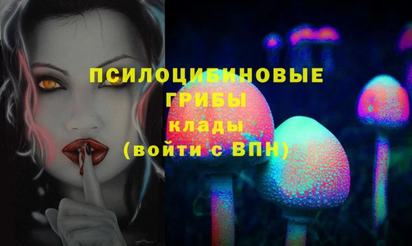 дурь Абаза