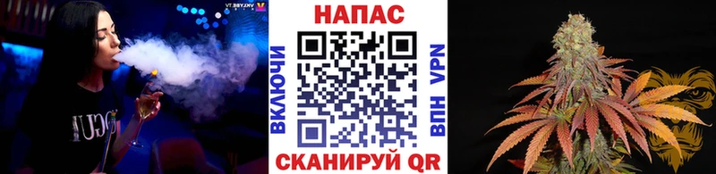 Канабис SATIVA & INDICA  Ладушкин 